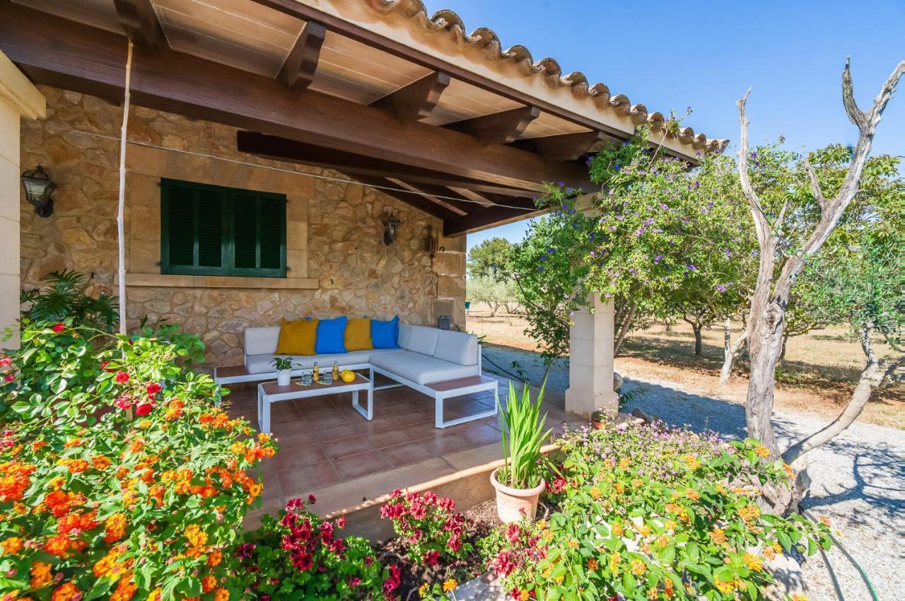 Ideal Property Mallorca - Can Carabassot Pollença Kültér fotó